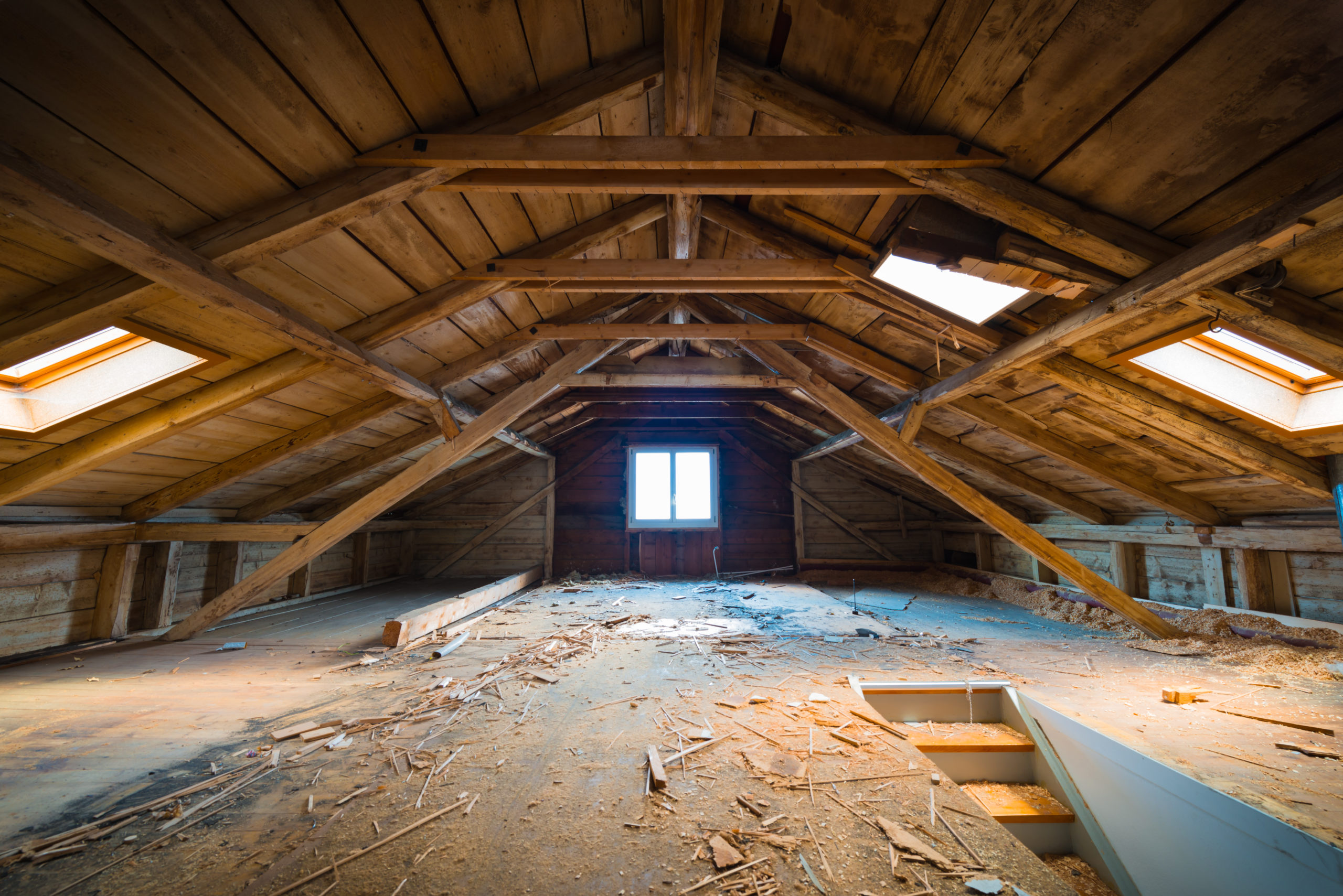 In the attic of a destroyed house. In the attic of a destroyed house.